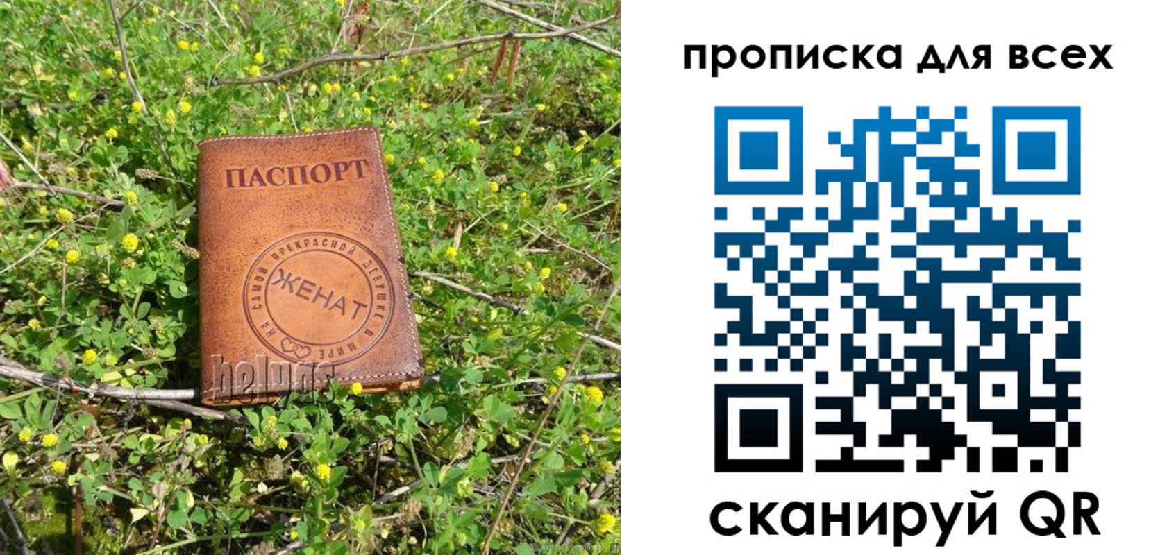 прописка поиск в Нарьян-Маре